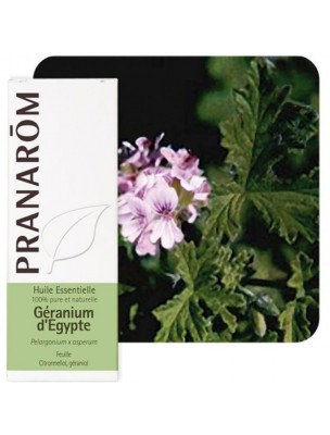 Image de Géranium d'Egypte - Huile essentielle de Pelargonium x asperum 10 ml - Pranarôm via Géranium Herbe Bio - Teinture-mère Geranium robertianum 50 ml - Herbiolys