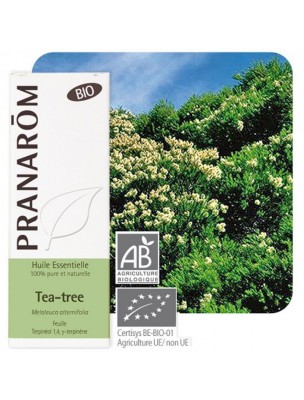 Image de Tea tree Bio (Arbre à thé) - Huile essentielle de Melaleuca alternifolia 10 ml - Pranarôm depuis PrestaBlog