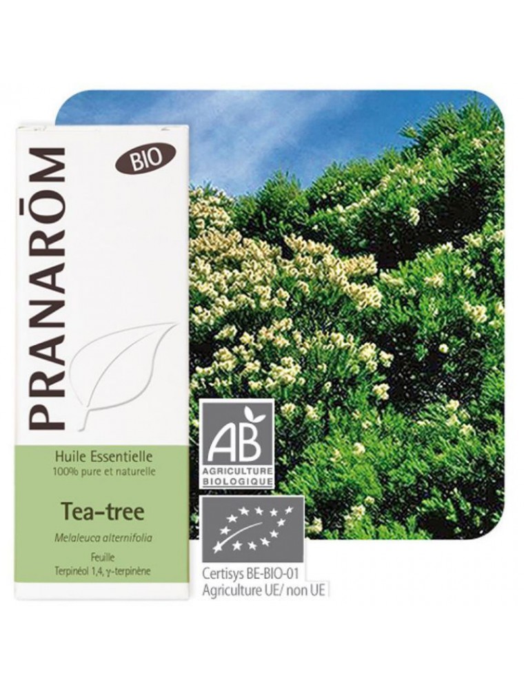 Pranarom Huile Essentielle Tea Tree Bio