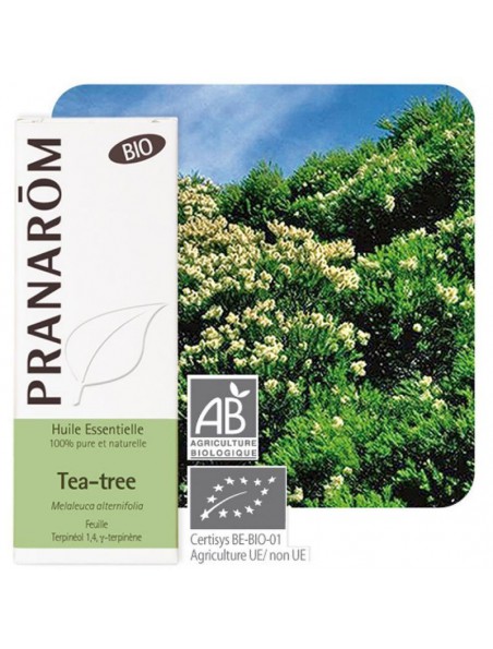 Image principale de Tea tree Bio (Arbre à thé) - Huile essentielle de Melaleuca alternifolia 10 ml - Pranarôm