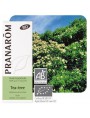 Image de Tea tree Bio (Arbre à thé) - Huile essentielle de Melaleuca alternifolia 10 ml - Pranarôm via Acheter Applicateur à bille roller en verre blanc de 30