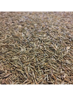 Image de Cumin Bio - Graines 100g - Tisane de Cuminum cyminum L. via Tisane Allaitement - Mélange de Plantes - 100g