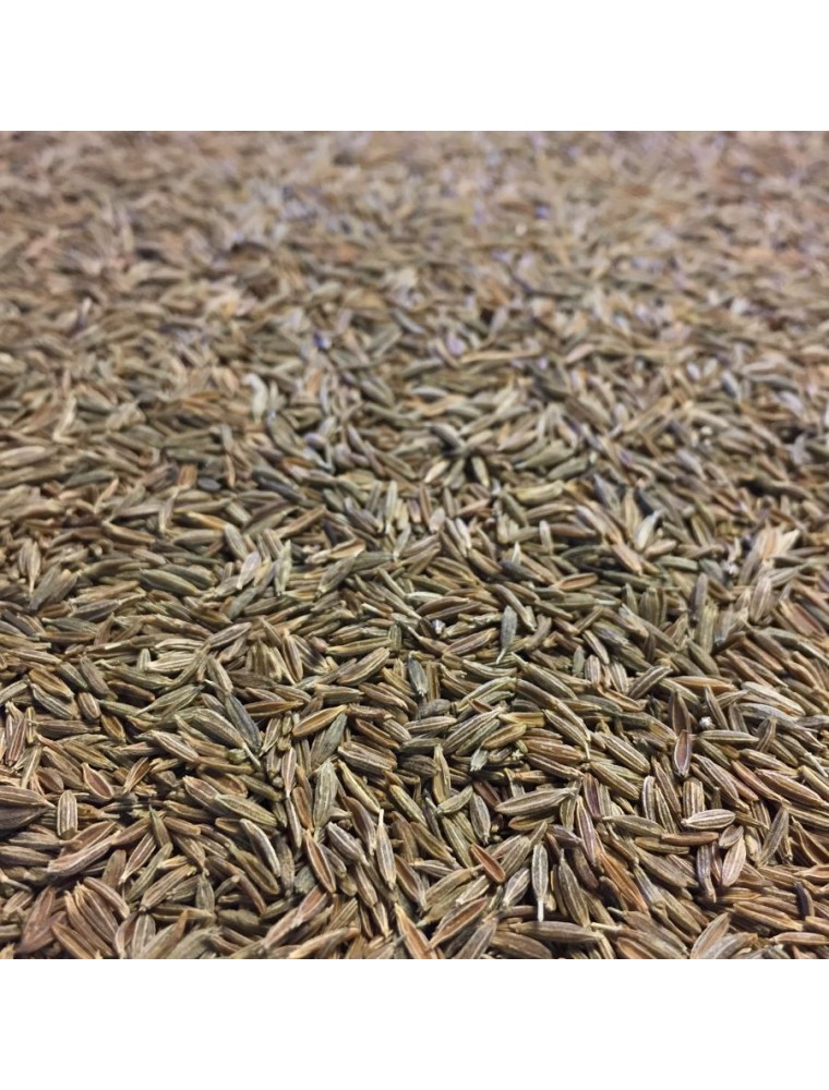 Image principale de la modale pour Cumin Bio - Graines 100g - Tisane de Cuminum cyminum L.