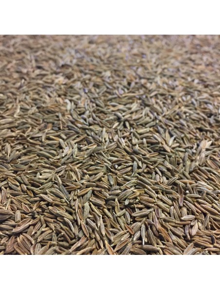 Image principale de Cumin Bio - Graines 100g - Tisane de Cuminum cyminum L.