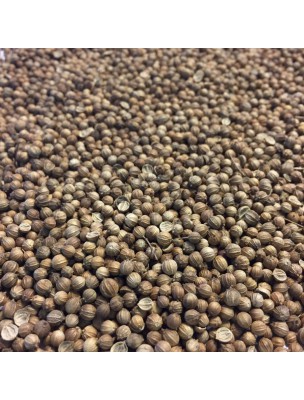 Image de Coriandre France Bio - Fruit 100g - Tisane Coriandrum sativum L. depuis Résultats de recherche pour "Coriander leave"