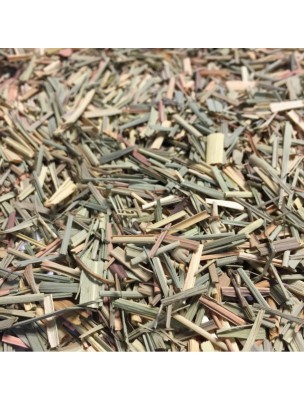 Image de Citronnelle Bio - Feuilles coupées 100g - Tisane Cymbopogon citratus (DC.) Stap. depuis Résultats de recherche pour "Tube de p%EF%BF%BD%EF%BF%BDte d%EF%BF%BD%EF%BF%BD%EF%BF%BD"