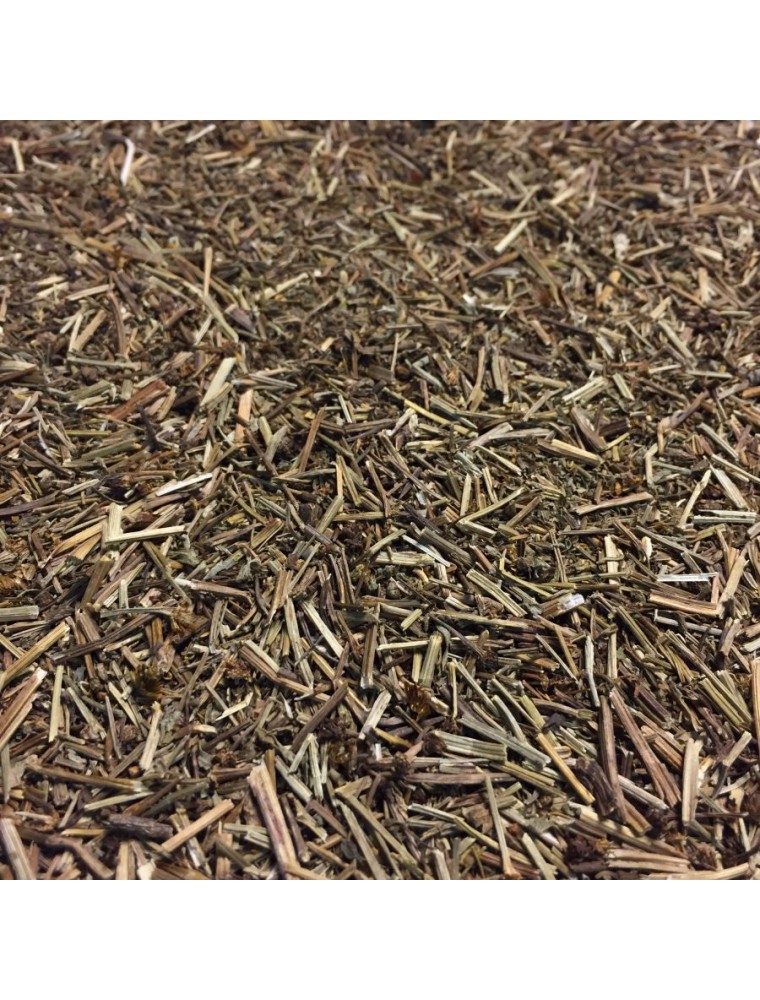 Chrysanthellum Bio - Partie aérienne 100g - Tisane de Chrysanthellum indicum subsp. afroamericanum BL Turner.