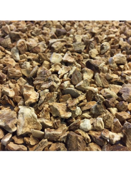 Achetez Chicorée sauvage Bio - Racine coupée 100g - Tisane Cichorium intybus L. à l'herboristerie Louis Image principale de Chicorée sauvage Bio - Racine coupée 100g - Tisane Cichorium intybus L.