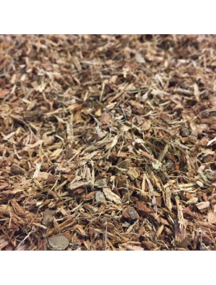 Image de Chêne Bio - Ecorce 100g - Tisane de Quercus robur L. via Chêne Macérat de bourgeons Bio - Quercus robur - Alphagem