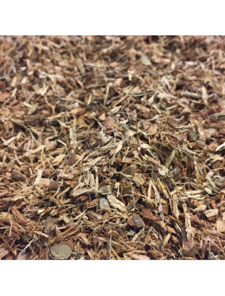 Image principale de Chêne Bio - Ecorce 100g - Tisane de Quercus robur L.