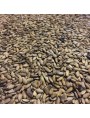 Image de Chardon-Marie Bio - Fruit 100g - Tisane de Silybum marianum L. via Acheter Chicorée sauvage Bio - Racine coupée 100g - Tisane Cichorium