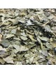 Frêne Bio - Feuilles coupées 100g - Tisane de Fraxinus excelsior L.