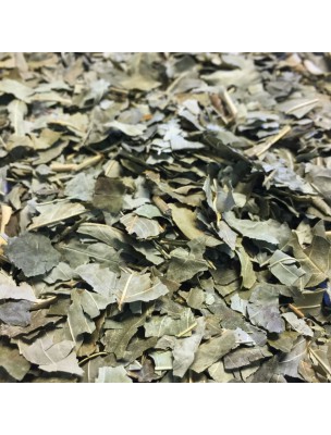 Image de Frêne Bio - Feuilles coupées 100g - Tisane de Fraxinus excelsior L. depuis Achetez Glucosamine 1500 d'origine marine - Articulations Be-Life