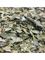 Image de Ash tree Bio - Cut leaves 100g - Herbal tea from Fraxinus excelsior L. via Buy Ash tree bud macerate organic - Fraxinus excelsior 50 ml