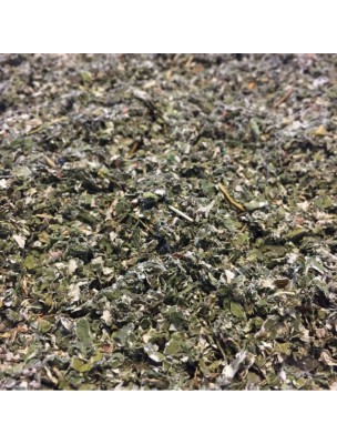 Image de Framboisier Bio - Feuilles coupées 100g - Tisane de Rubus idaeus L. depuis louis-herboristerie