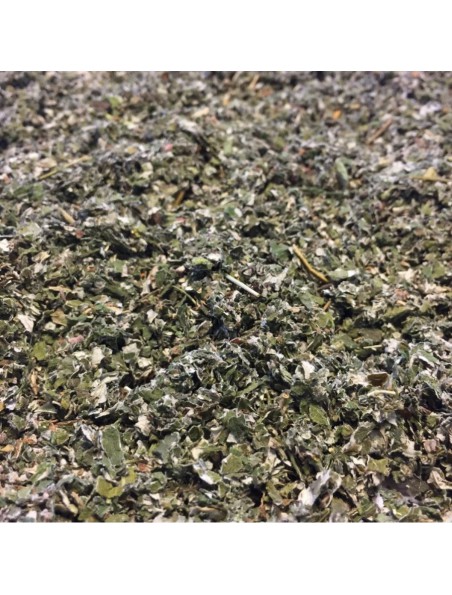 Framboisier Bio - Feuilles coupées 100g - Tisane de Rubus idaeus L.