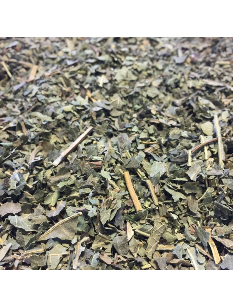 Image principale de la modale pour Figuier - Feuille coupée 100g - Tisane de Ficus carica