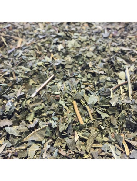 Figuier - Feuille coupée 100g - Tisane de Ficus carica