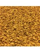 Fenugrec Bio - Graines 100g - Tisane Trigonella foenum-graecum L.