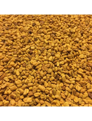 Image de Fenugrec Bio - Graines 100g - Tisane Trigonella foenum-graecum L. via Fenugrec Bio - Reconstituant et gestion du sucre / Purasana