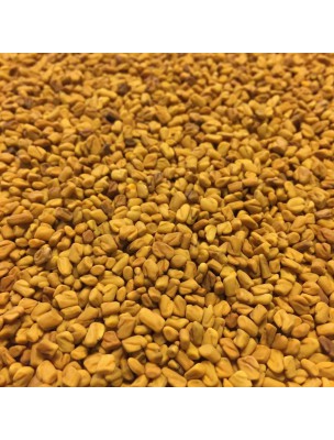 Image de Fenugrec Bio - Graines 100g - Tisane Trigonella foenum-graecum L. depuis Marrube blanc - Tisane 100g - Marque