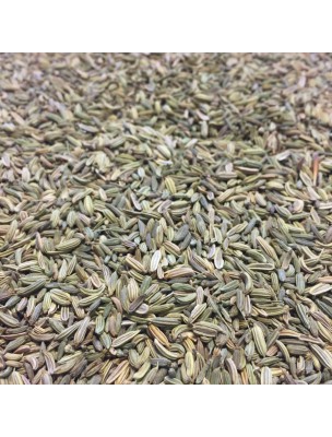 Image de Fennel Organic - Seeds 100g - Herbal Tea from Foeniculum vulgare Mill. via Buy Poultry Mint - Chopped aerial part 100g - Mentha Herbal Tea