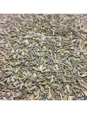 Image de Fenouil Bio - Graines 100g - Tisane de Foeniculum vulgare Mill. via Fenouil Doux - Tisane Partie Aérienne - Marque de 