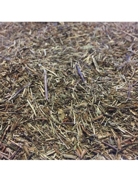 Image principale de Euphraise officinale Bio - Partie aérienne 100g - Tisane Euphrasia stricta Wolff ex.