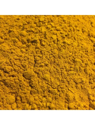 Image de Curcuma Bio - Rhizome en poudre 50g - Curcuma longa L. via Savon surgras à la Lavande de l'Himalaya et Basilic - L'évident Apaisant 100g