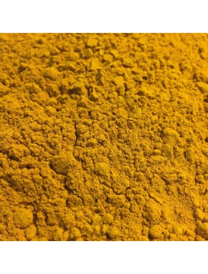 Image de Curcuma Bio - Rhizome powder 50g - Curcuma longa L. depuis Herbalist's Organic Medicinal Plants in Powders
