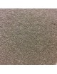 Chiendent Bio - Rhizome en poudre 100g - Elymus repens (L.) Gould