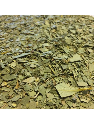 Image de Eucalyptus Bio - Feuilles coupées 100g - Tisane Eucalyptus globulus Labill. via Guimauve Bio - Racine coupée 100g