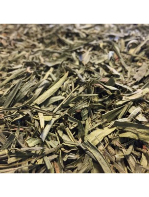 Image de Estragon Bio - Feuilles 100g - Tisane d'Artemisia dracunculus L. depuis Achetez vos Épices et aromates naturelles et Bio ici