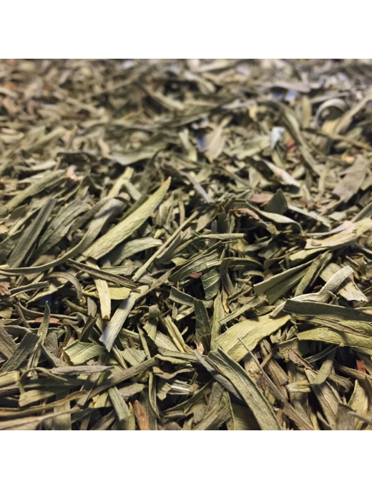 Image principale de la modale pour Estragon Bio - Feuilles 100g - Tisane d'Artemisia dracunculus L.