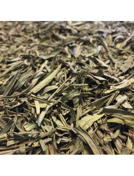 Image principale de Estragon Bio - Feuilles 100g - Tisane d'Artemisia dracunculus L.