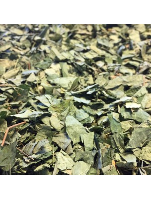 Image de Desmodium - Cut leaves 50g - Herbal tea of Desmodium adscendens (Sw.) DC. depuis Buy our Natural and Organic Spring Cure