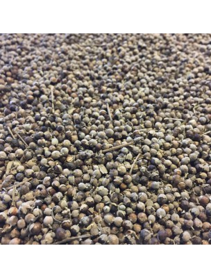 Image de Gattilier Bio - Fruit entier 100g - Tisane de Vitex agnus-castus L. via Bourse à pasteur bio - Poudre 100g - Tisane part. aérienne