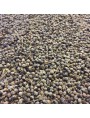 Image de Organic Chaste Tree - Whole Fruit 100g - Herbal Tea from Vitex agnus-castus L. via Buy Alchemilla - Cut plant 100g - Alchemilla vulgaris herbal tea