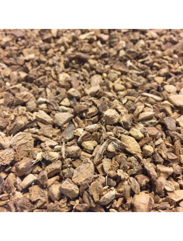 Image principale de la modale pour Gingembre Bio - Rhizome coupé 100g - Tisane de Zingiber officinale Roscoe