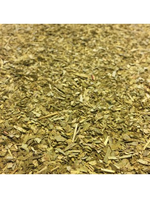 Image de Ginkgo Bio - Cut leaves 100g - Herbal tea from Ginkgo biloba L. via Buy Ginkgo organic tincture - Memory and Circulation