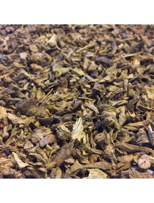 Image de Patience (Oseille crépue) - Racine coupée 100g - Tisane de Rumex crispus L. depuis louis-herboristerie