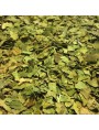 Image de Gymnema sylvestris - Cut leaf 100g - Gymnema sylvestris herbal tea via Buy Actichrome - Normal Blood Sugar and Energy 60 capsules -