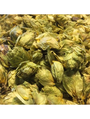 Image de Houblon Bio - Le cône 50g -Tisane d'Humulus lupulus depuis Résultats de recherche pour "Sommeil Bio - T"