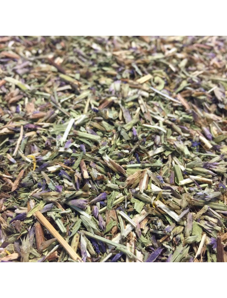 Image principale de la modale pour Hysope Bio - Sommité fleurie 100g - Tisane d'Hyssopus officinalis L.