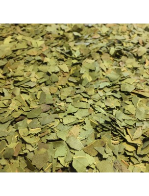 Image de Laurier noble Bio - Feuilles coupées 50g - Tisane de Laurus nobilis L. depuis Commandez les produits Louis Bio à l'herboristerie Louis