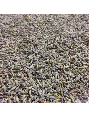 Image de Lavande officinale Bio - Fleurs 100g -Tisane de Lavandula angustifolia depuis Lavande vraie - 10 ml - Pranarôm
