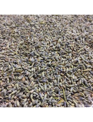 Image de Lavande officinale Bio - Fleurs 100g -Tisane de Lavandula angustifolia depuis Résultats de recherche pour "Sommeil Bio - T"