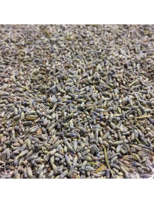 Image de Organic Lavender - Flowers 100g - Lavandula angustifolia Herbal Tea via Buy CalmiGEM GC03 Bio Spray - Stress and Anxiety 10 ml