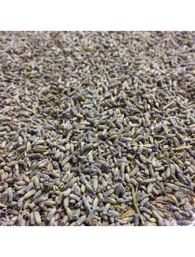 Image principale de la modale pour Lavande officinale Bio - Fleurs 100g -Tisane de Lavandula angustifolia