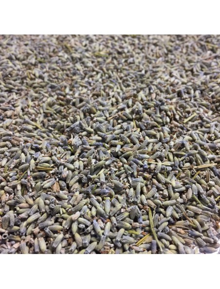 Achetez Lavande officinale Bio - Fleurs 100g -Tisane de Lavandula angustifolia à l'herboristerie Louis Image principale de Lavande officinale Bio - Fleurs 100g -Tisane de Lavandula angustifolia